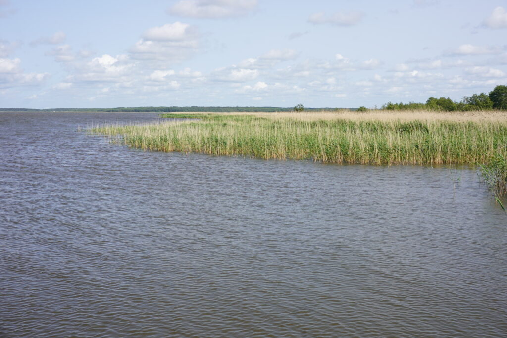 Lake nearby Kluki