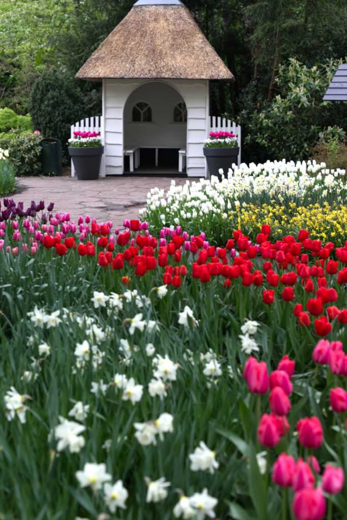 Keukenhof garden