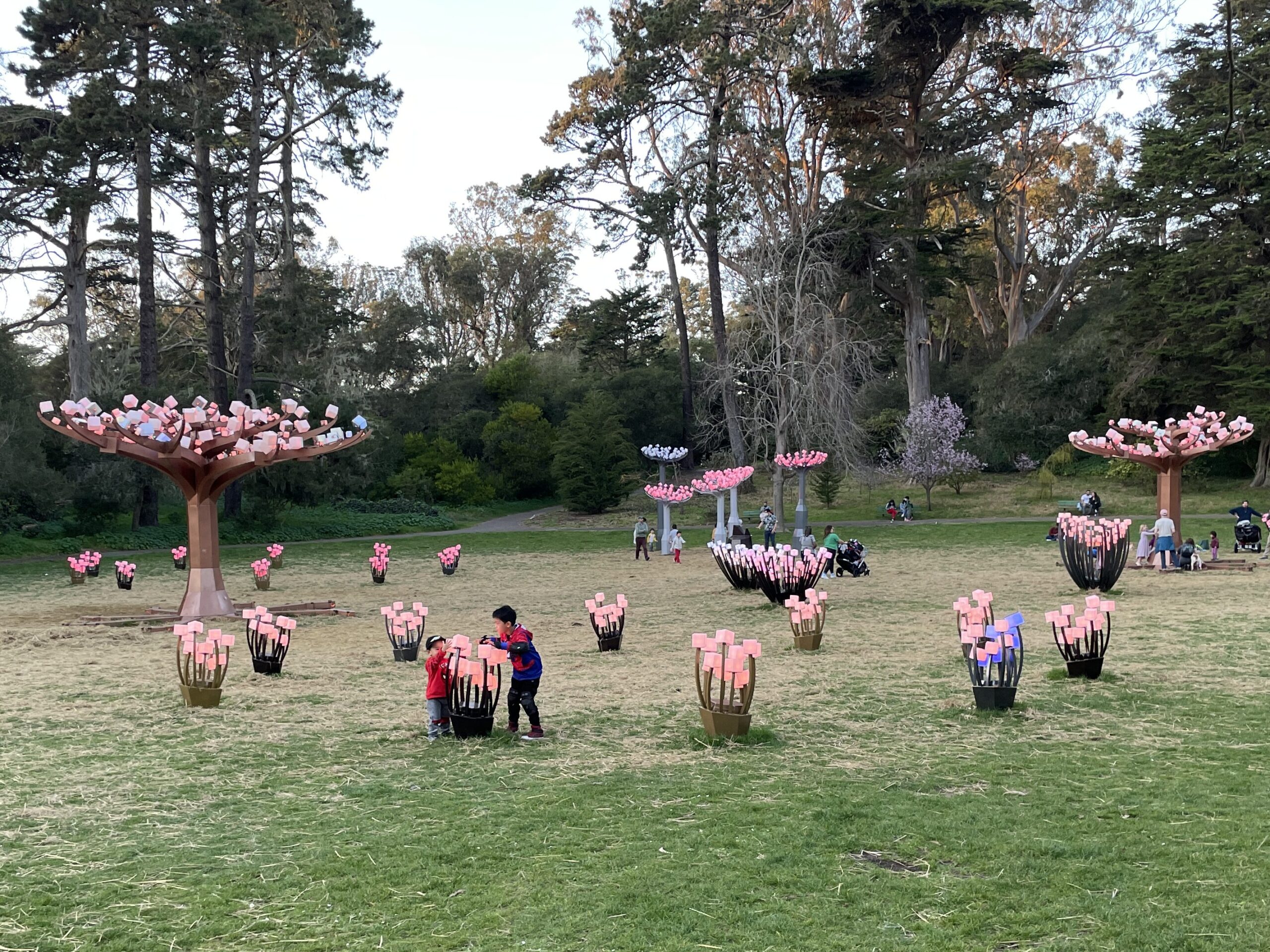 Golden Gate park