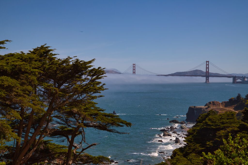 Golden gate with fog