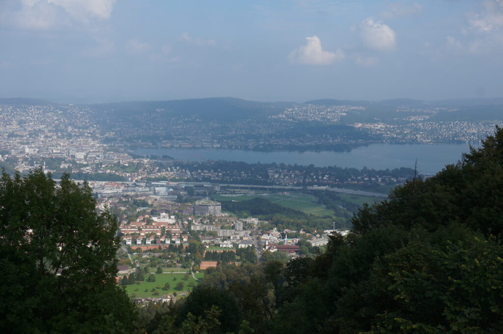 Views from Zürich
