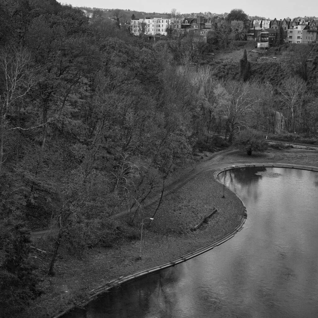 Schenley Park