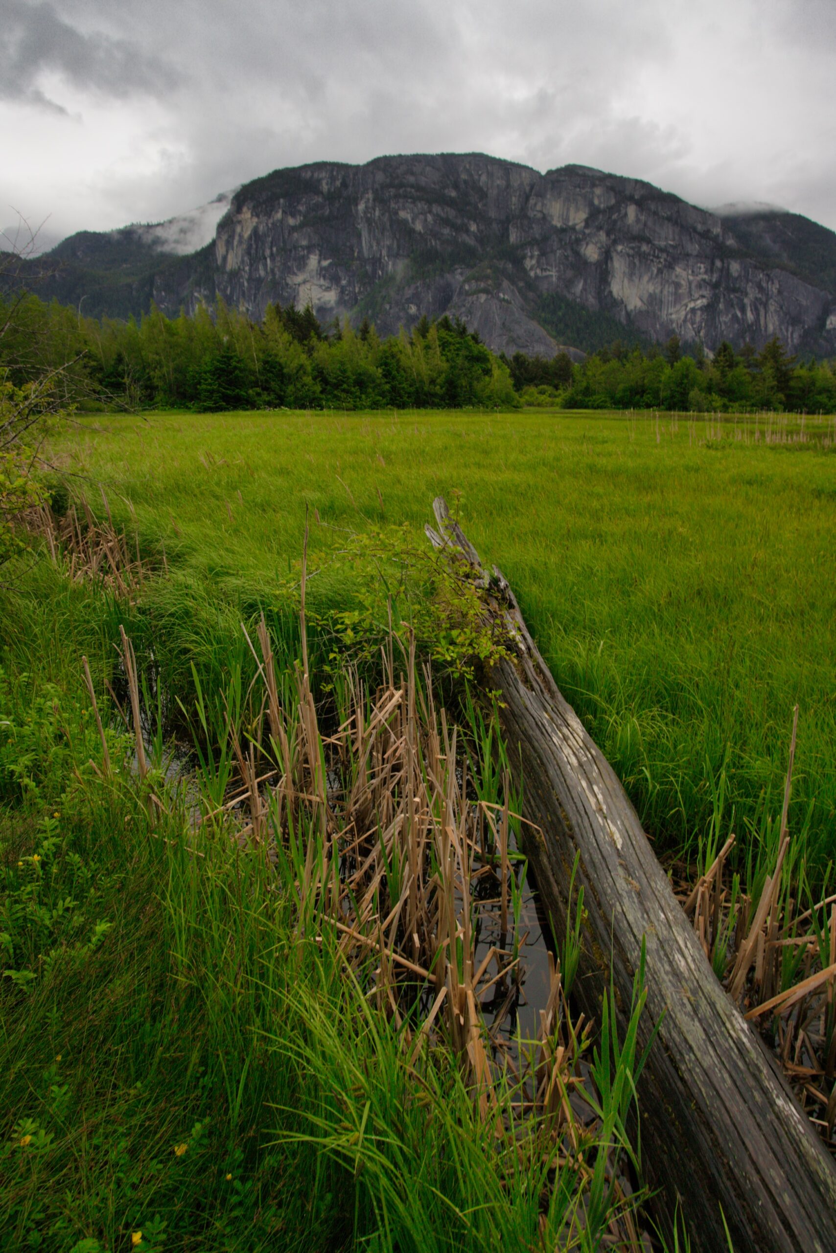 Estuary trail