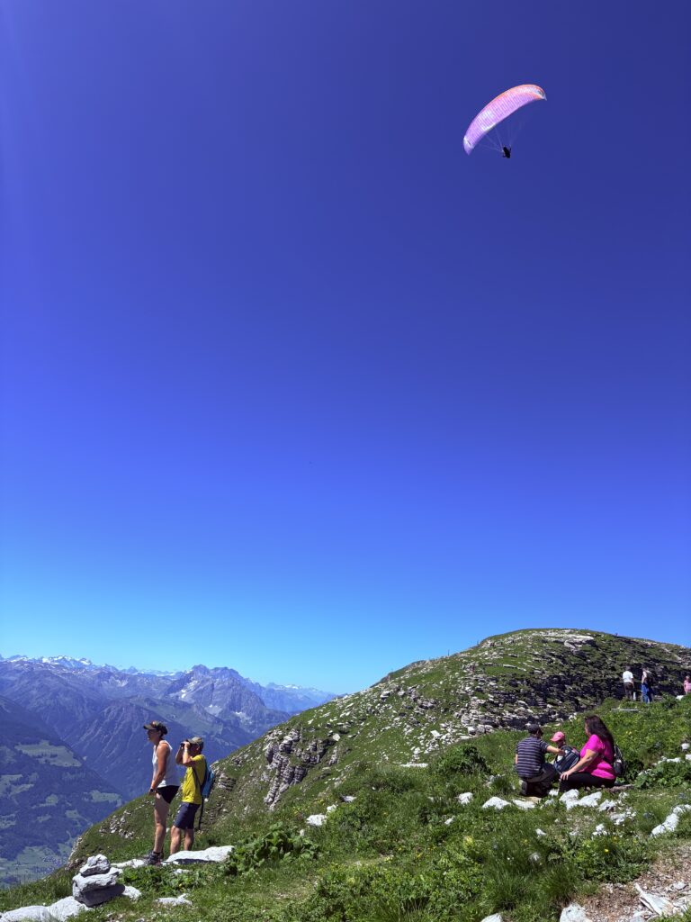 Paragliders