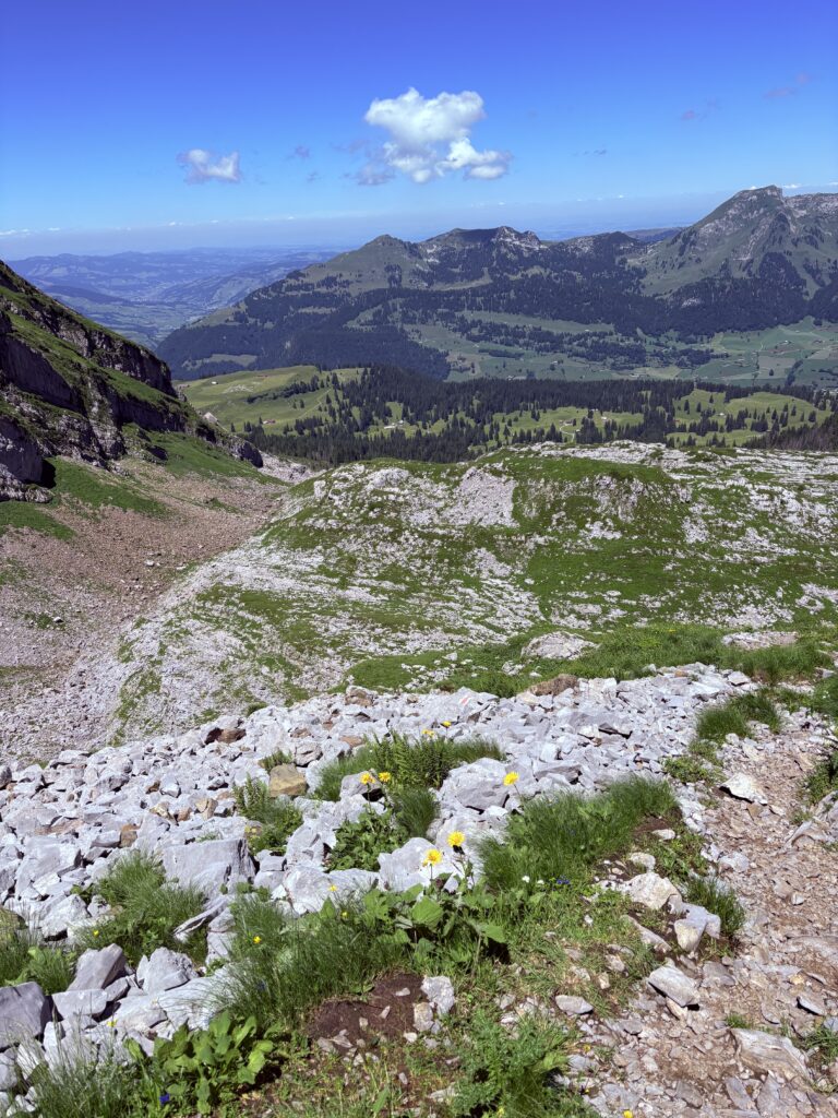 Descens of the hike