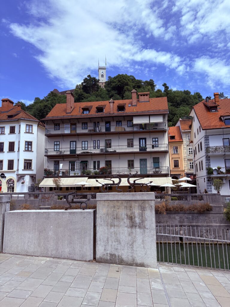Castle from Ljubljana city center
