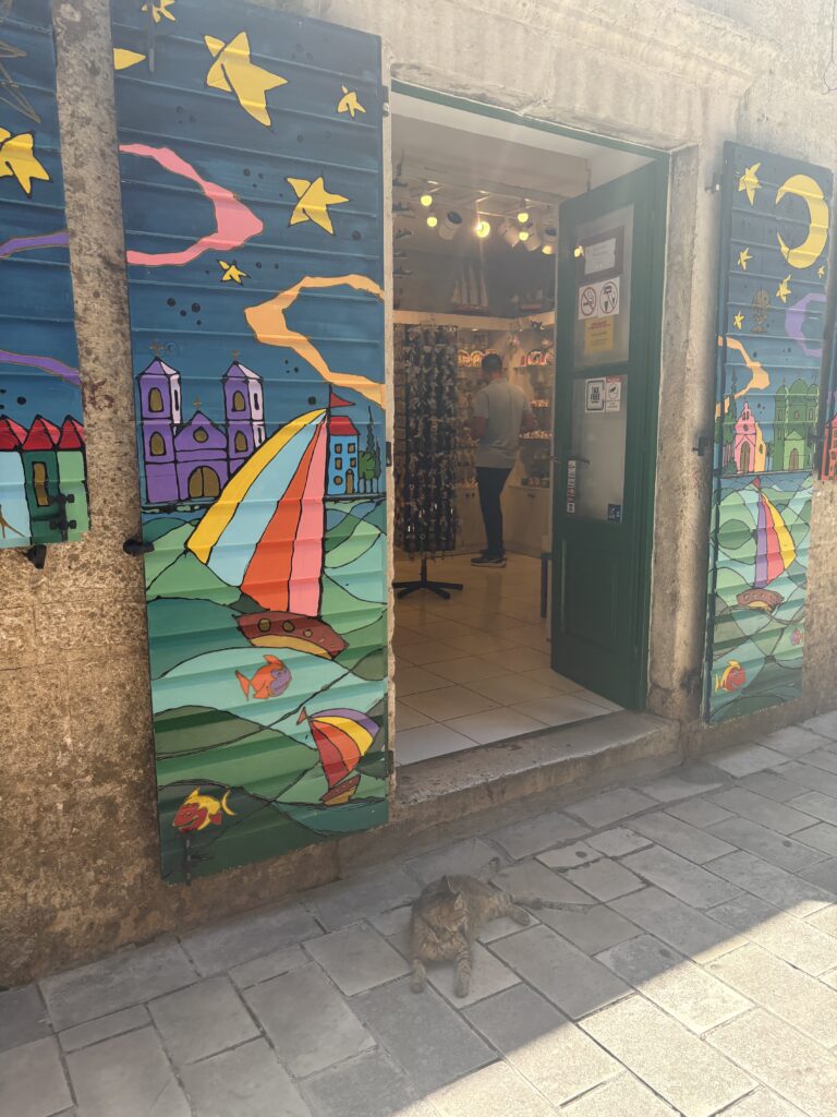 Cat in front of a store