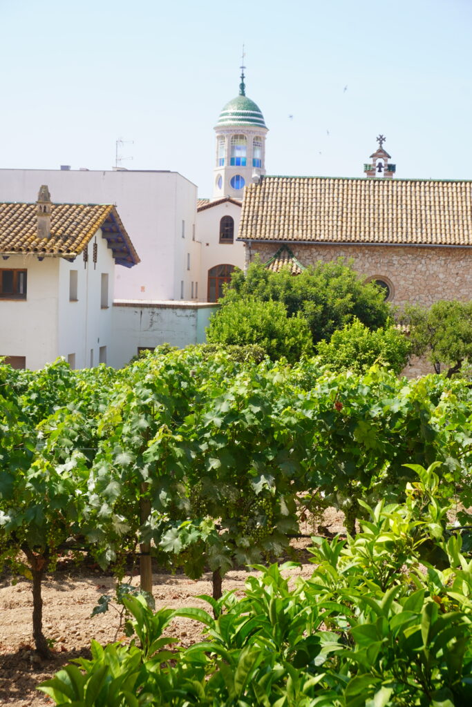 Hospital view from the winery