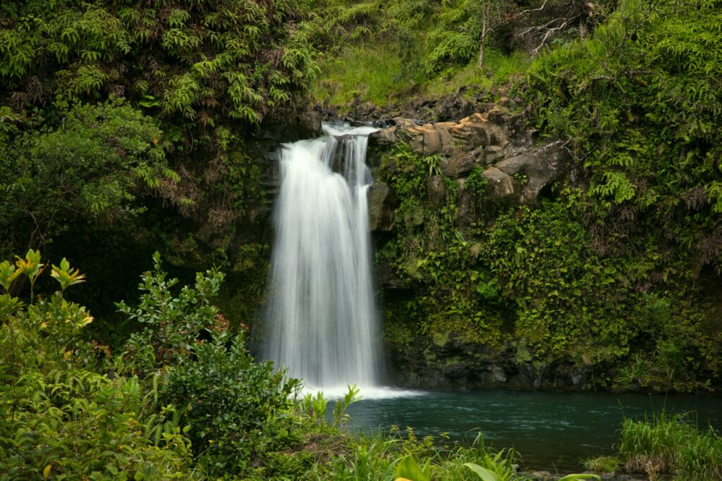 Puaa Kaa Park