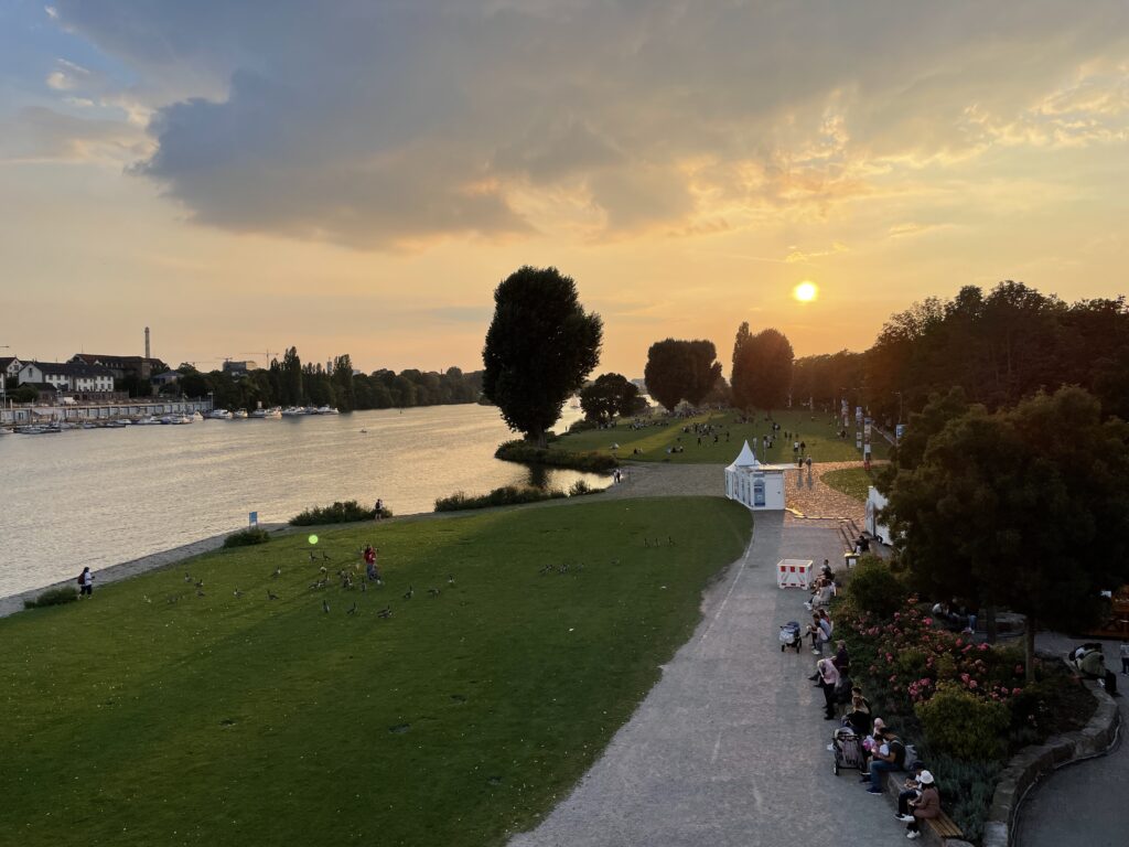 Neckarwiese in the riverbank