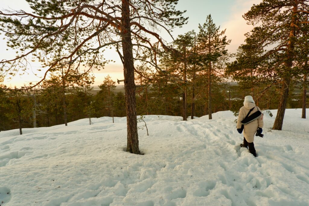 Hiking in Lapland
