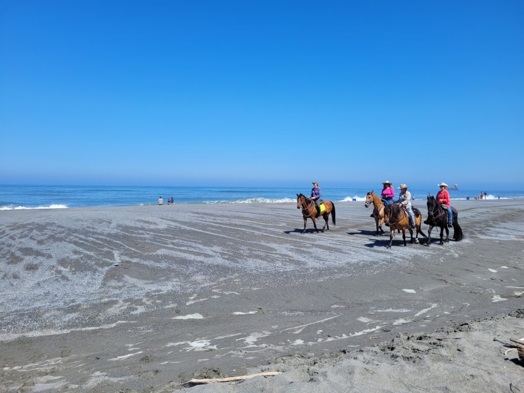 Beach at Redwoods NP