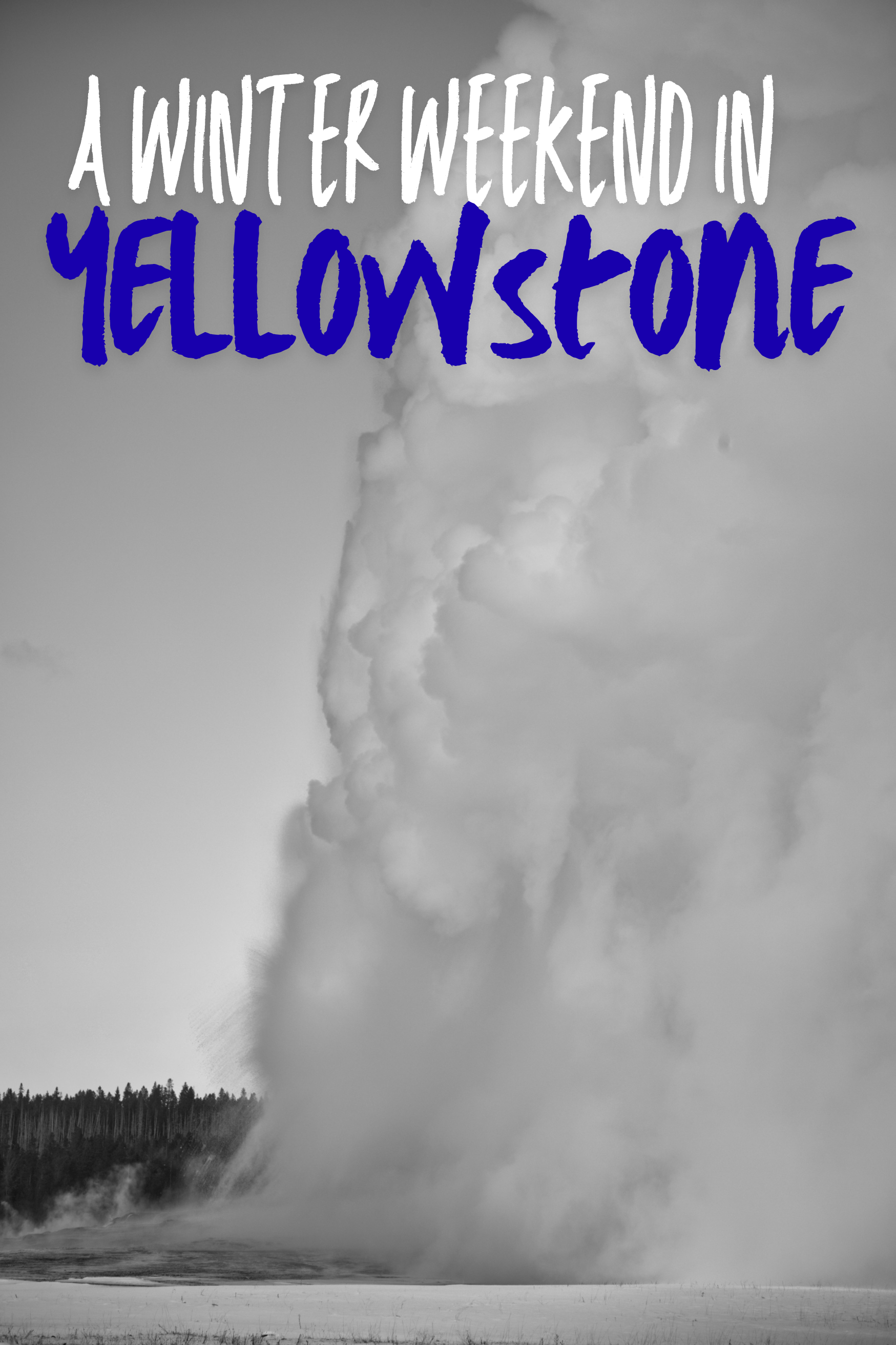 Visit Yellowstone
