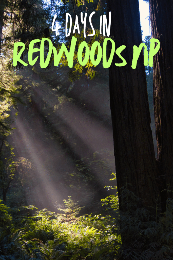Visit Redwoods NP