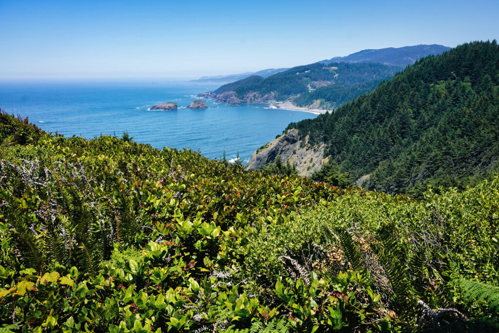 Samuel H. Boardman Scenic Corridor