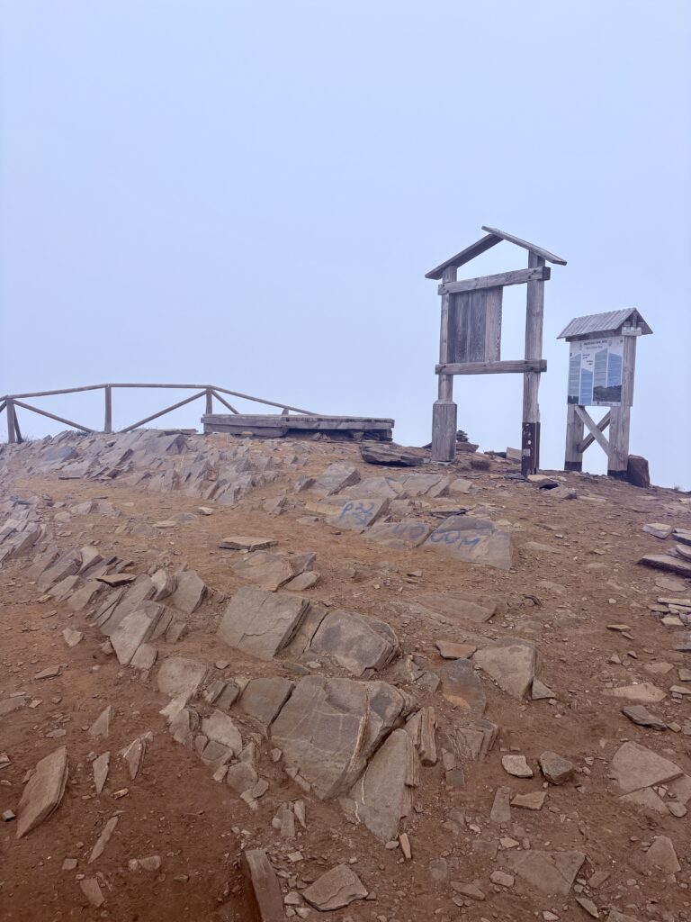 Views from the top of the hike