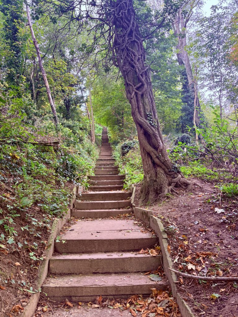 View point of Durlach