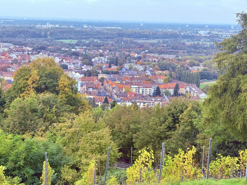 View point of Durlach