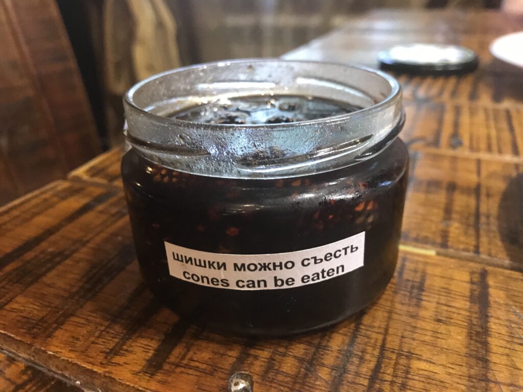 Honey with pine cones