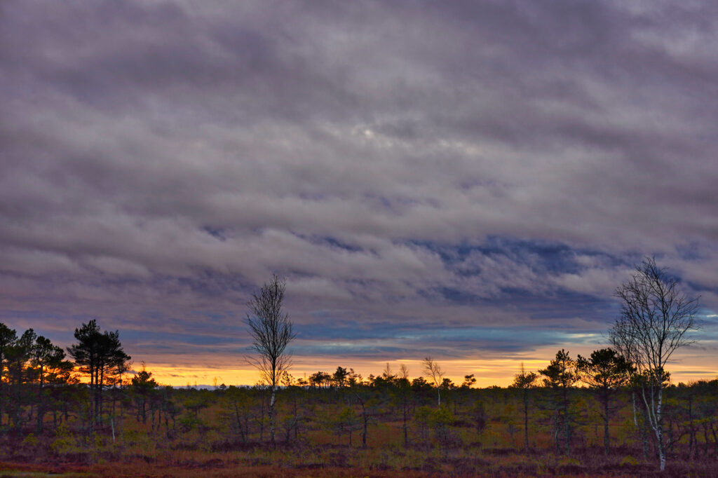 Kemeri National Park