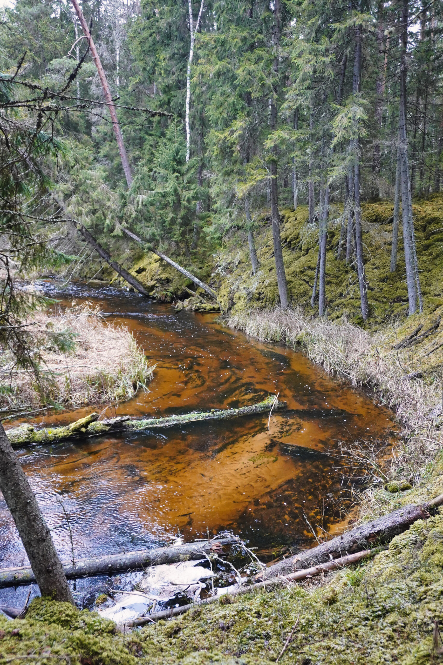 Gaujas National Park