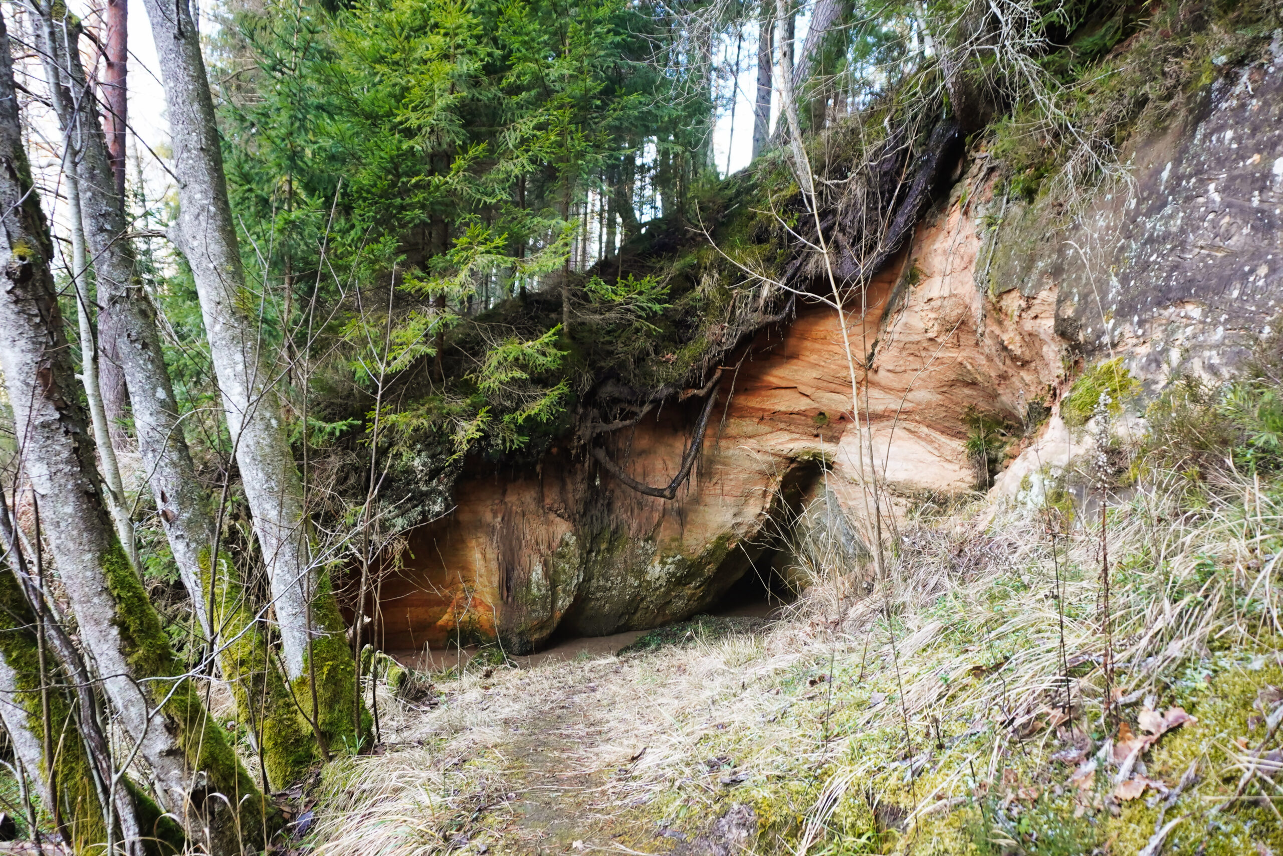 Gaujas National Park