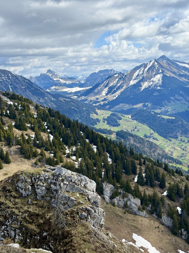 Views from the trail