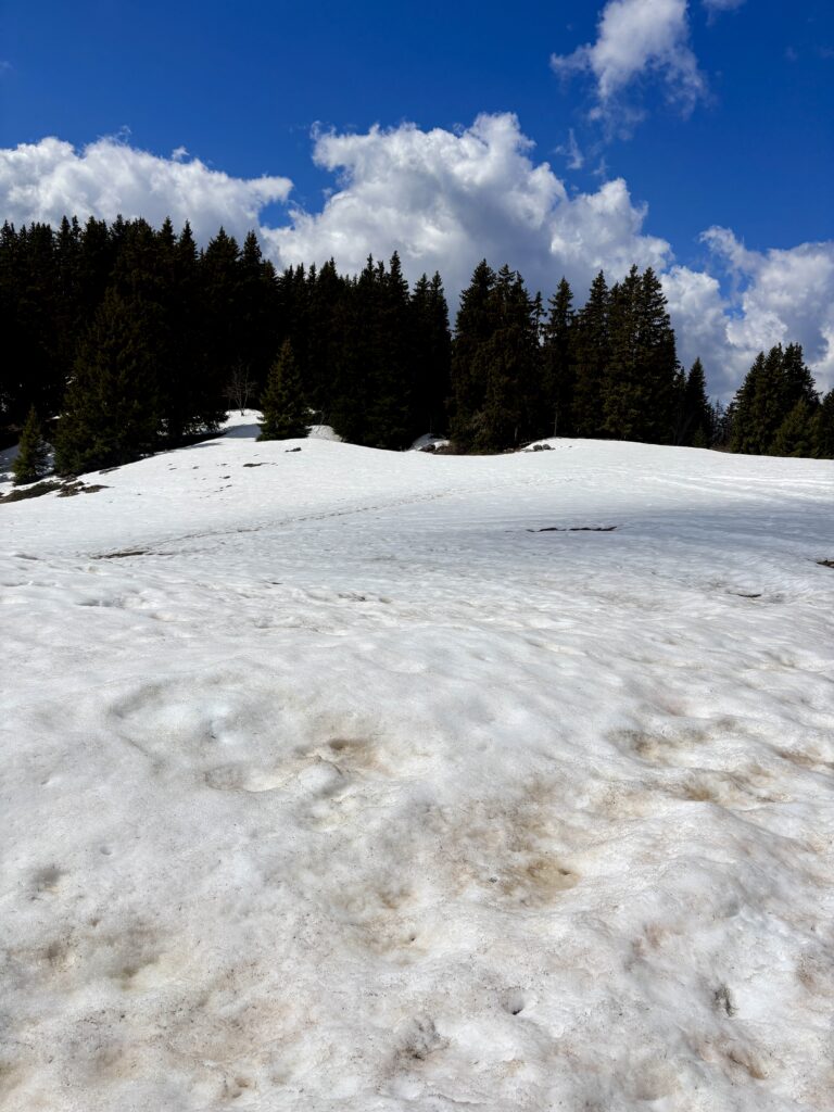Still some snow in April!