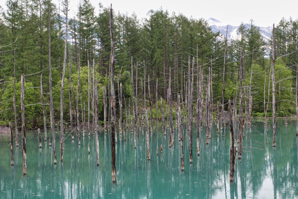 Blue Pond