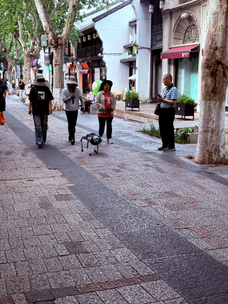 Robot walking on the streets