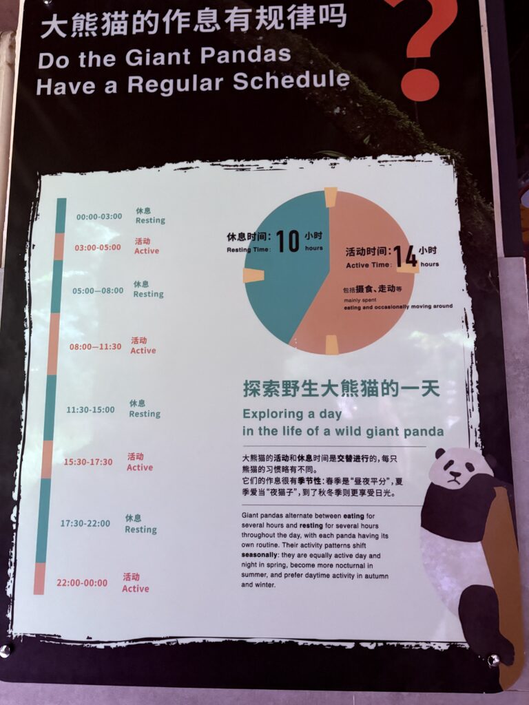 Panda life schedule