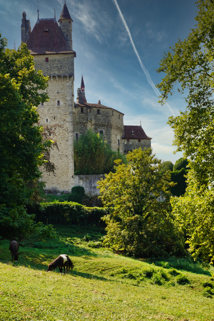 Château de Menthon-Saint-Bernard