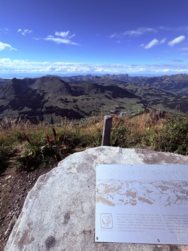 Views from the peak