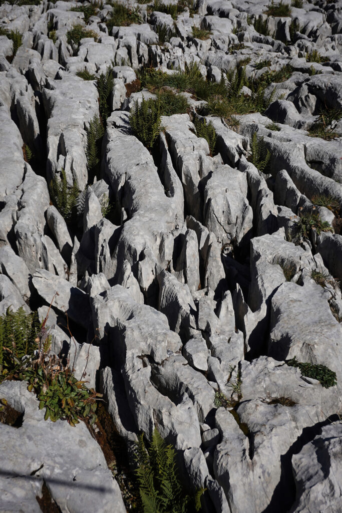 Rock formations
