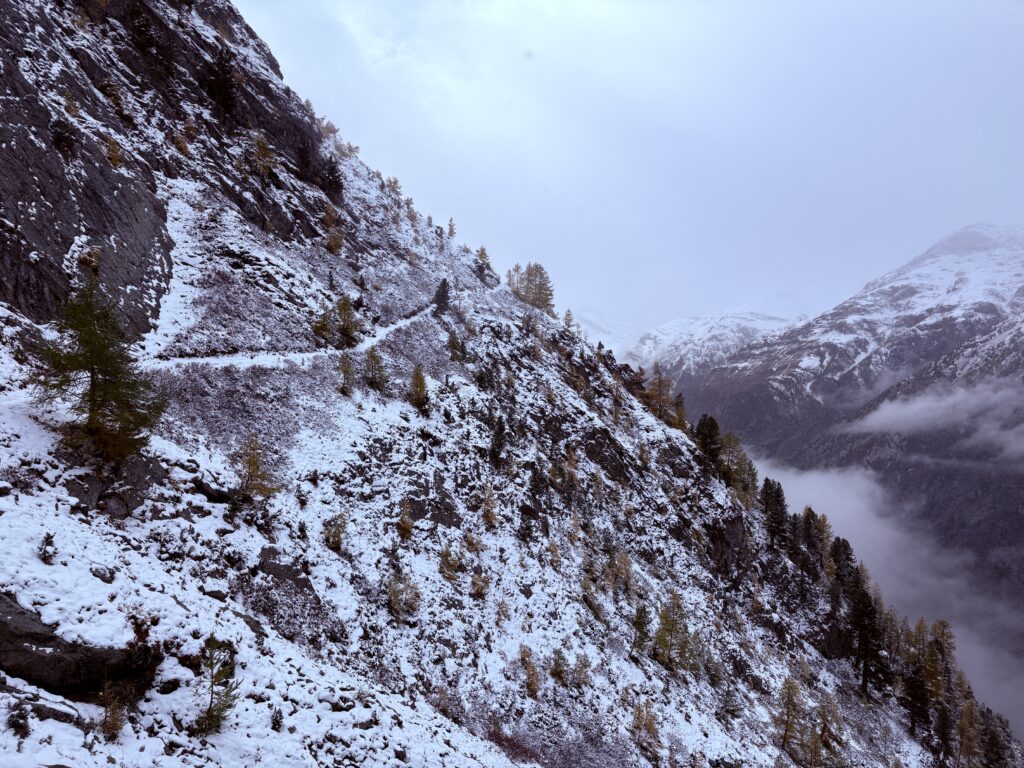 Views of the snow